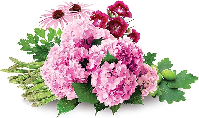 Jobe's Organics Garden Lime, Lime Powder Soil Amendment for Lawns, Plants, and Gardens, 6 lbs Bag