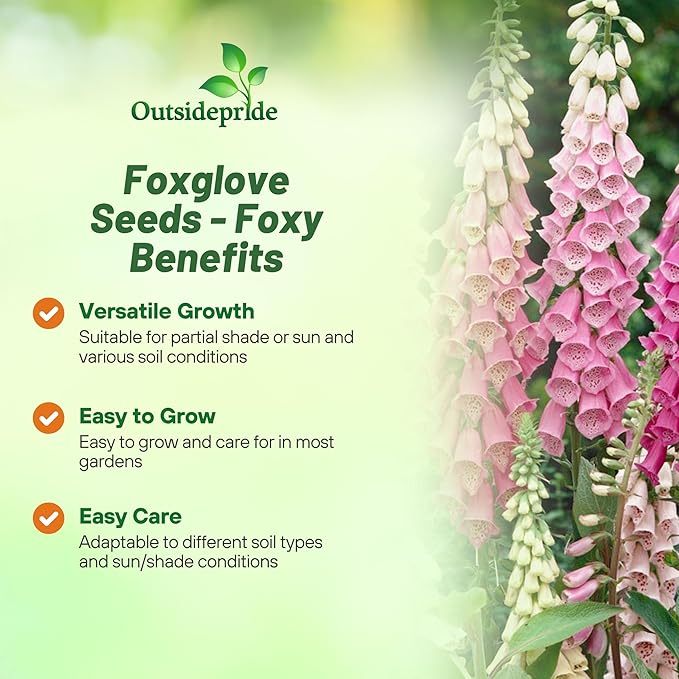 Outsidepride Digitalis Purpurea Foxy Foxglove Seeds – 5000 Pcs Biennial, Prolific, Tall Growing Flower Seeds w/Pollinator-Friendly Blooms for Shaded Gardens & Outdoor Landscapes (AAS Winner)