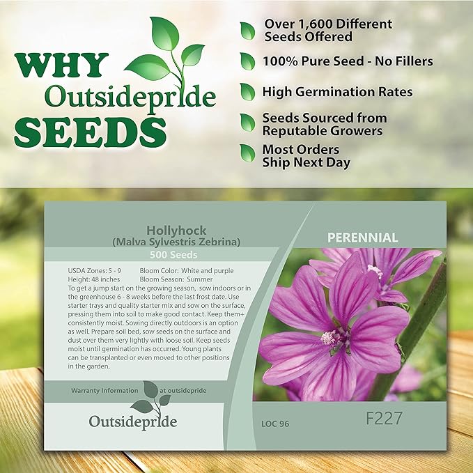 Outsidepride 1000 Seeds Perennial Malva Sylvestris Purple French Hollyhock Zebrina Flower Seeds for Planting