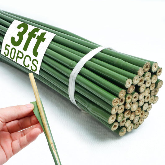50Pcs 3ft Bamboo Sticks for Indoor Outdoor Plants, 0.29"-0.38" Natural Bamboo Poles, Durable Garden Stakes for Tomatoes, Beans, Flowers and Potted Plants