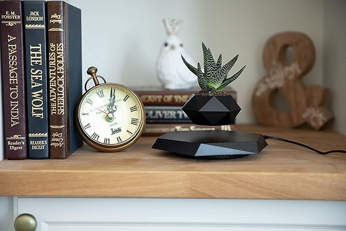 BandD Levitating Plant Pot - Floating Plant Pot for Small Plants. Levitating Decor for Home & Office Magnetic Floating Levitating Display (Black)