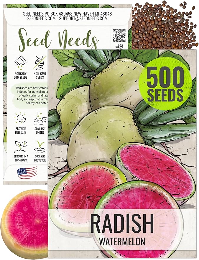 Seed Needs Watermelon Radish Seeds for Planting - Non-GMO, Heirloom & Untreated - Organically Grow a Home Grown Vegetable Garden - Cool Weather Crops (1 Pack)