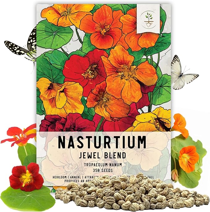 Seed Needs, 1.5 Ounce 350+ Nasturtium Seeds “Jewel Mixture (Tropaeolum nanum) Edible Blooms, Non-GMO, Easy to Grow, Mixed Colors Flower Seeds Mix, Attracts Pollinators - Bulk