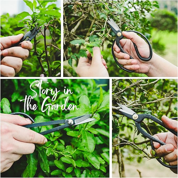 15-Piece Bonsai Tree Kit, Bonsai Tool Set, Bonsai Starter Kit, Carbon Steel Scissors, Cutter Shears, Rake with Spatula, Perfect Gardening Trimming Pruning Tools