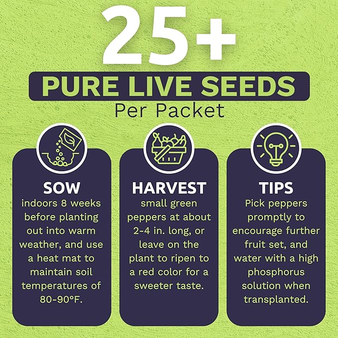 Organic Shishito Pepper Seeds – Two Seed Packets! – Approx 25 Open Pollinated Non-GMO Seeds Per Packet (50 Total) – Sweet Yards Seed Co.