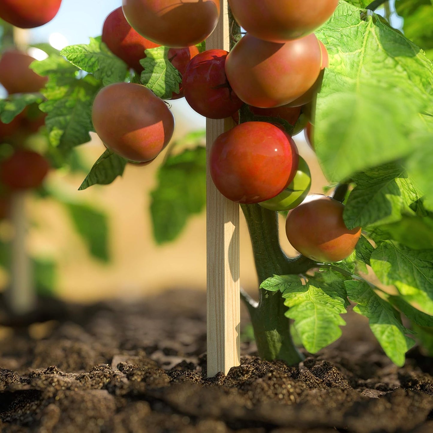 Greenes Fence 3 Ft. Wooden Garden and Sign Post Stakes (100-Pack)