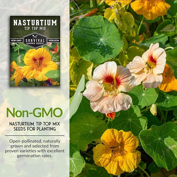 Survival Garden Seeds - Tip Top Mix Nasturtium Seeds - 5 Packs with Instructions to Plant and Grow Edible Flowers & Companion Plants in Your Home Vegetable Garden - Non-GMO Heirloom Variety