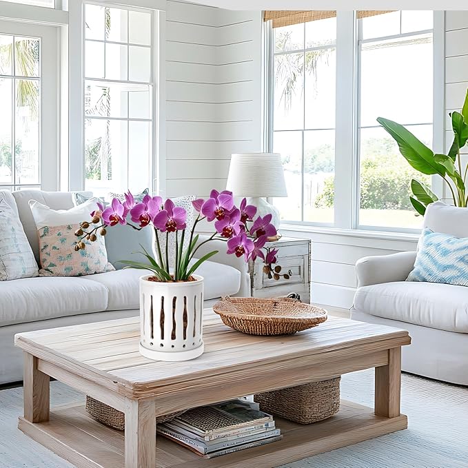 6 Inch Ceramic Orchid Pot with Large Slotted Holes, Orchid Planter for Enhanced Air Circulation, Orchid Pots with Drainage Tray, White