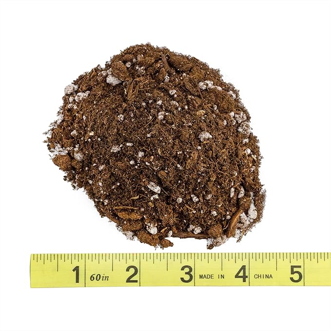 Lucky Bamboo Plant Potting Mix (4 Quarts), Custom Soil Mix for Repotting