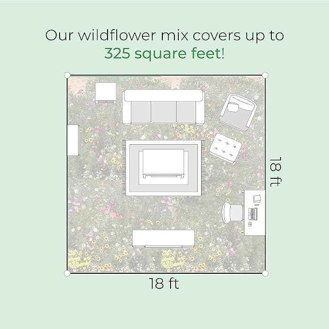 Hummingbird and Butterfly Wildflower Seed Mix, Covers 325 Sq Ft, 23 Flower Varieties, Over 60,000 Seeds - Created By Nature