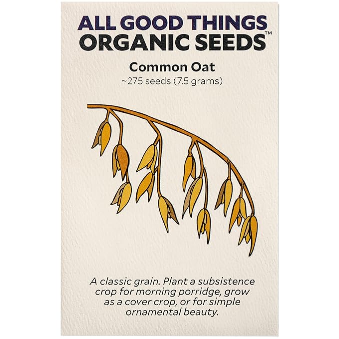 All Good Things Organic Common Oat Seeds - Pack of 275, Heirloom Seeds for Planting Grains, Vegetables - Gardening Supplies, Vegetable Garden - Non-GMO, Open Pollinated, from USA