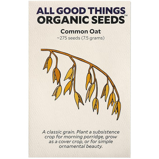 All Good Things Organic Common Oat Seeds - Pack of 275, Heirloom Seeds for Planting Grains, Vegetables - Gardening Supplies, Vegetable Garden - Non-GMO, Open Pollinated, from USA
