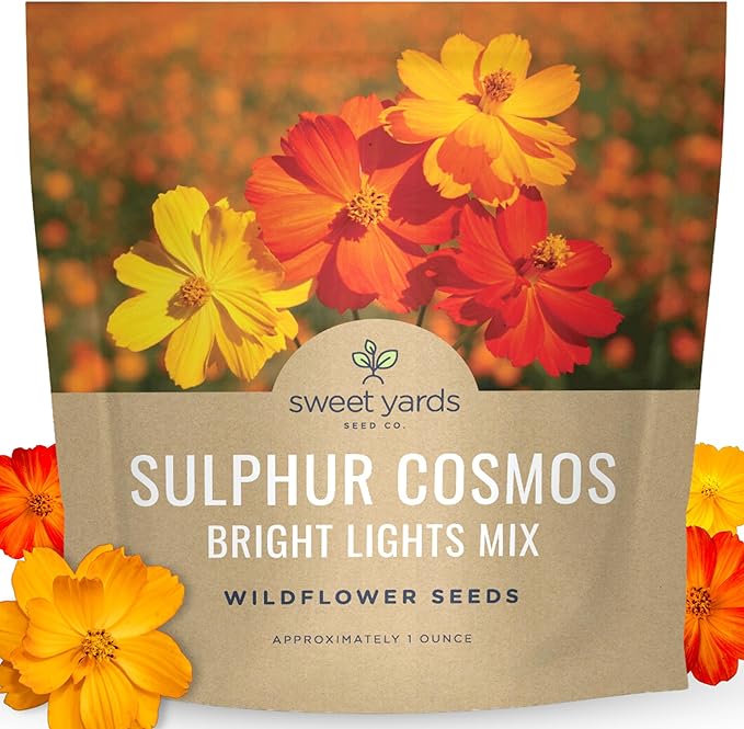 Sulphur Cosmos - Bright Lights Mix - Large 1 Ounce Packet - 3,500 Flower Seeds for Planting - Wildflower Mix