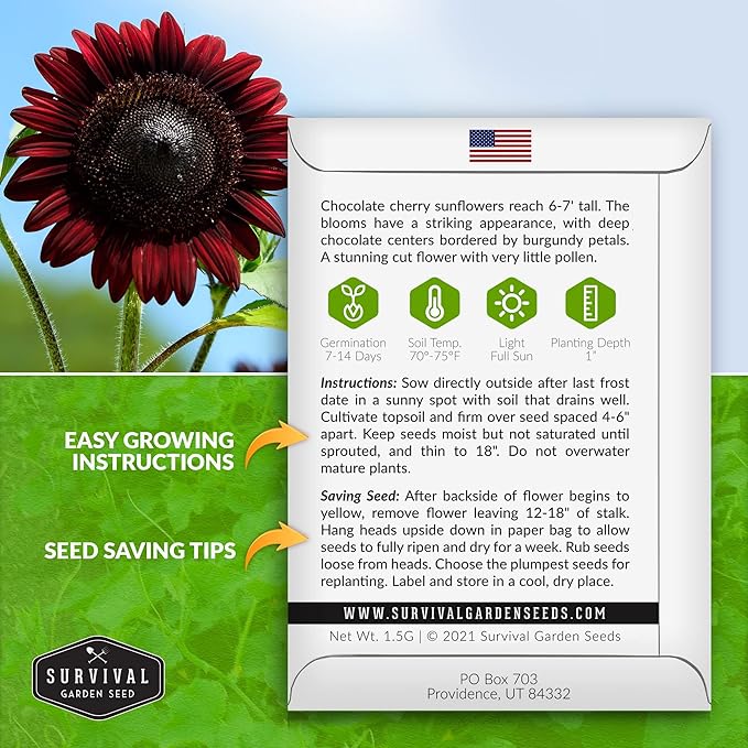 Survival Garden Seeds - Chocolate Cherry Sunflower Seed for Planting - 3 Packets with Instructions to Plant & Grow Burgundy Sunflowers in Your Vegetable & Flower Garden - Non-GMO Heirloom Variety