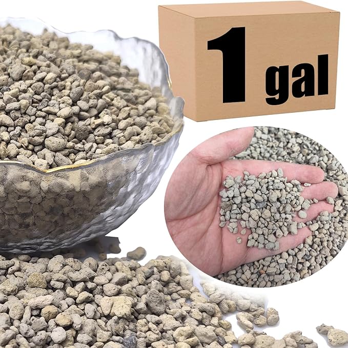 Organic Pumice for Bonsai and Horticultural 100% Natural- (1 gallons, 1/4 inch)