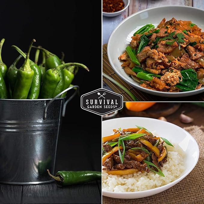 Survival Garden Seeds - Serrano Pepper Seed for Planting - 3 Packs with Instructions to Plant and Grow Spicy Mexican Peppers in Your Home Vegetable Garden - Non-GMO Heirloom Variety