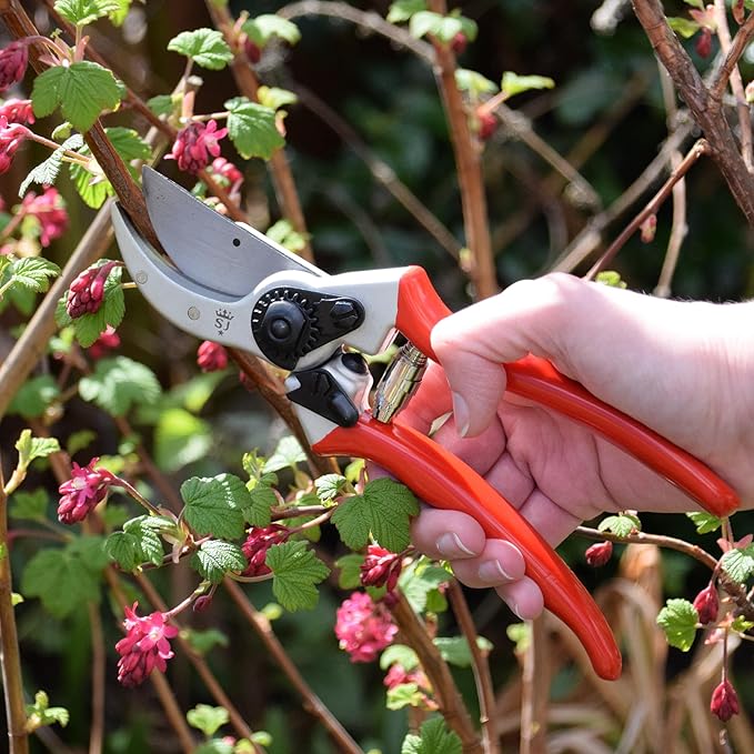 Spear & Jackson 6659BS/13 Razorsharp Heavy Duty Forged Bypass Pruners