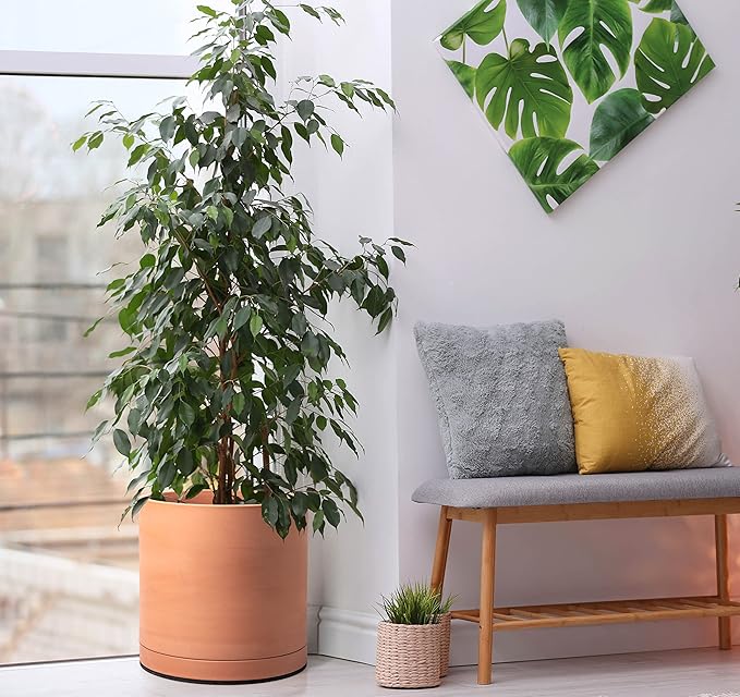 D'vine Dev Terracotta Pots for Plants, 7.8 Inch 9.6 Inch 12 Inch, Round Cylinder Planter Pot with Drainage and Saucer, 40-T-D-0