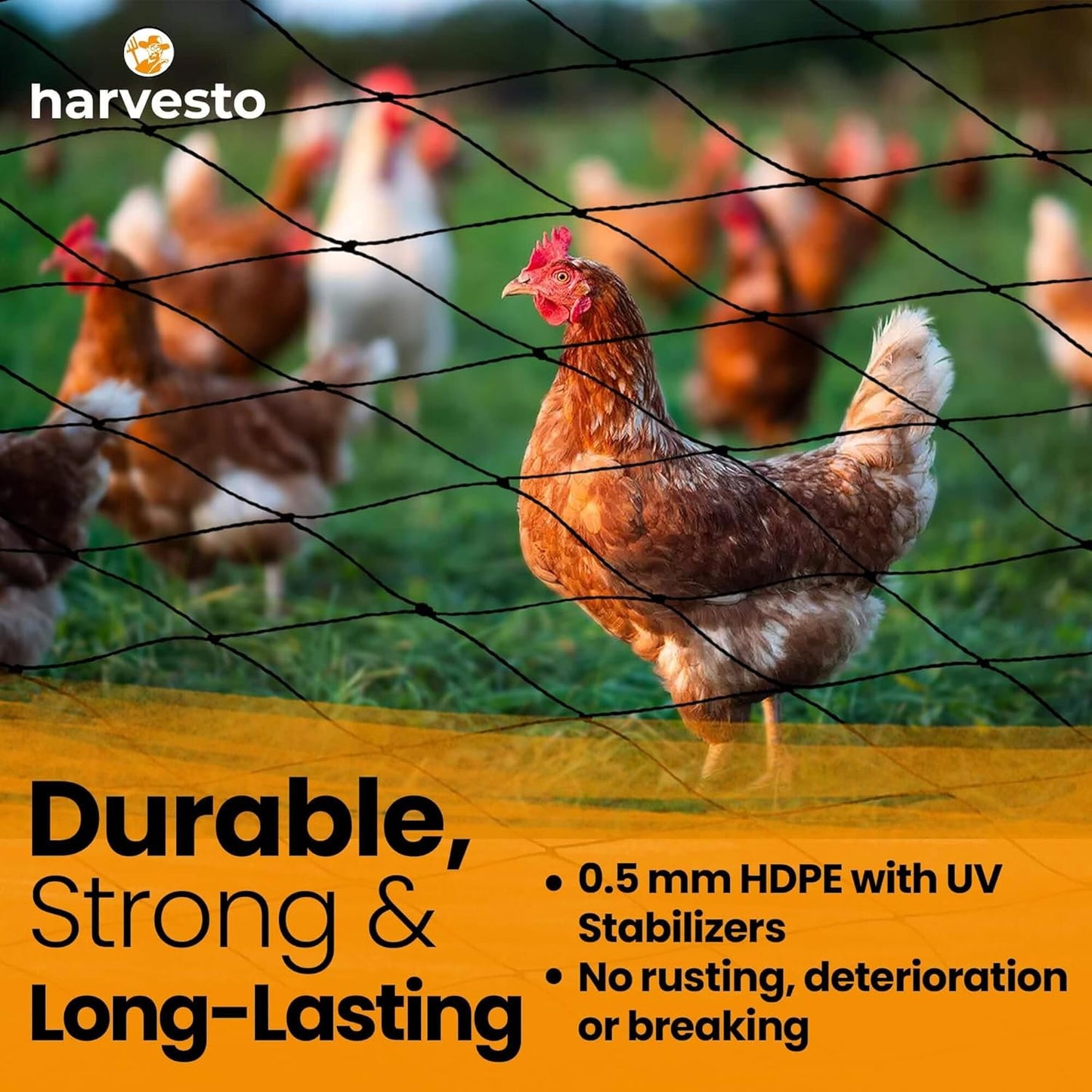 Heavy Duty Bird Netting for Chicken Coops & Runs | Tree & Garden Netting Mesh 1-1/2" | Keep Hawks, Birds & Predators Away | Bird Netting for Blueberry Bushes, Vegetables & Fruit (50' x 50’)