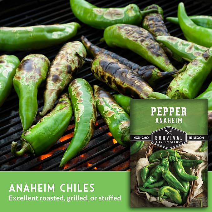 Survival Garden Seeds Anaheim Chili Pepper Seed for Planting - 1 Packet with Instructions to Plant & Grow Mild to Medium Hot Chile Peppers in Your Home Vegetable Garden - Non-GMO Heirloom Variety