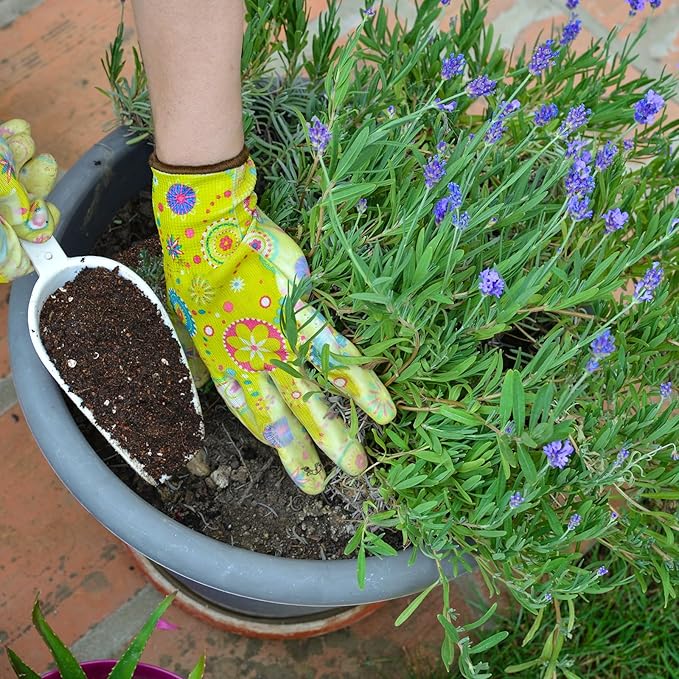 Premium Lavender Potting Mix 10qt, Promotes Lavender Blossoming, Perfect for Indoor and Outdoor Gardening