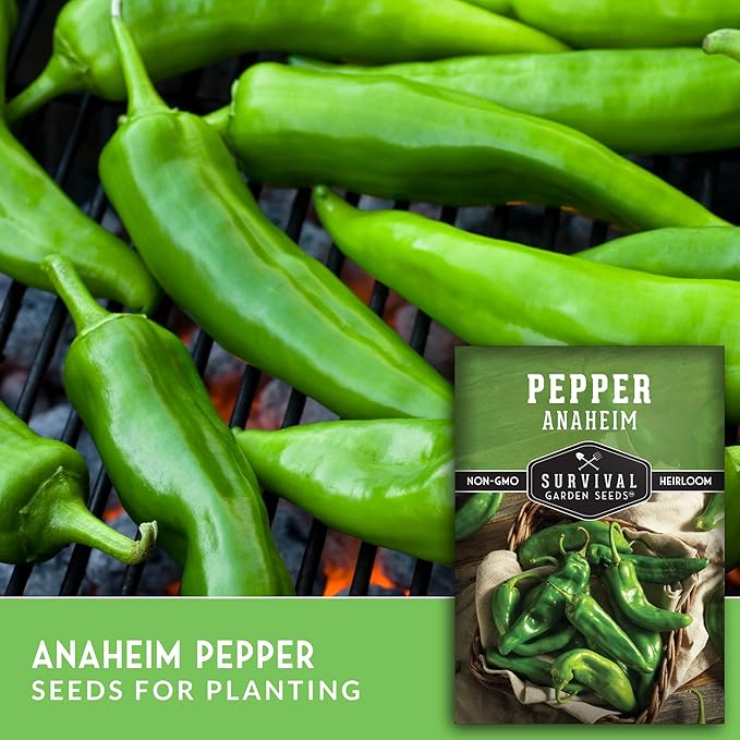 Survival Garden Seeds Anaheim Chili Pepper Seed for Planting - 3 Packets with Instructions to Plant & Grow Mild to Medium Hot Chile Peppers in Your Home Vegetable Garden - Non-GMO Heirloom Variety