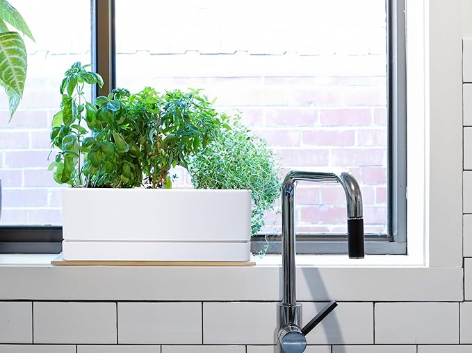 D'vine Dev 12 Inch Window Box Planter, Rectangle Plastic Herb Planter with Drainage Holes and Saucer, Indoor Succulent Cactus Vegetable Pot for Windowsill, Garden Balcony, White, Set of 2, 76-X-A-2