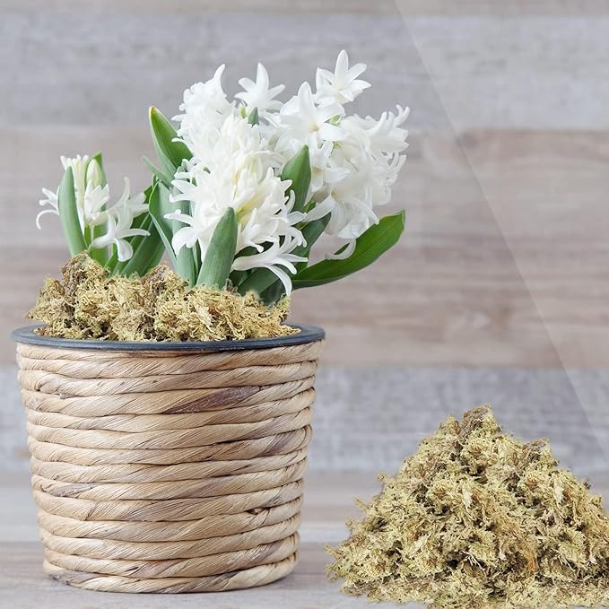 ZeeDix 226g Premium Sphagnum Moss for Plants, 12QT Natural Long Fibered Orchid Moss Sphagnum Peat Moss Bulk for Carnivorous,Orchid,Sarracenia,Succulent,Venus Fly Traps and Reptiles