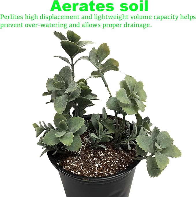 Viagrow VPER4-2 4 cu. ft. Perlite (2 Pack), 2-Pack, White