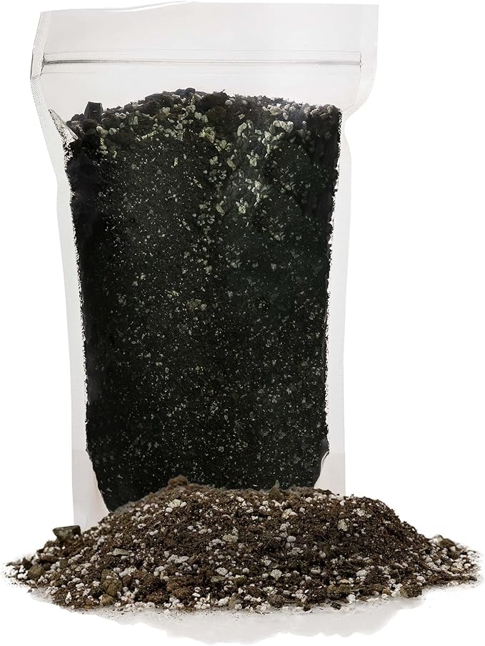 African Violets and Gesneriad Premium Soil Mix - Horticultural Perlite (25%) + Vermiculite (25%) + Sphagnum Peat Moss (50%) - Made in USA - (2 Quart Bag)
