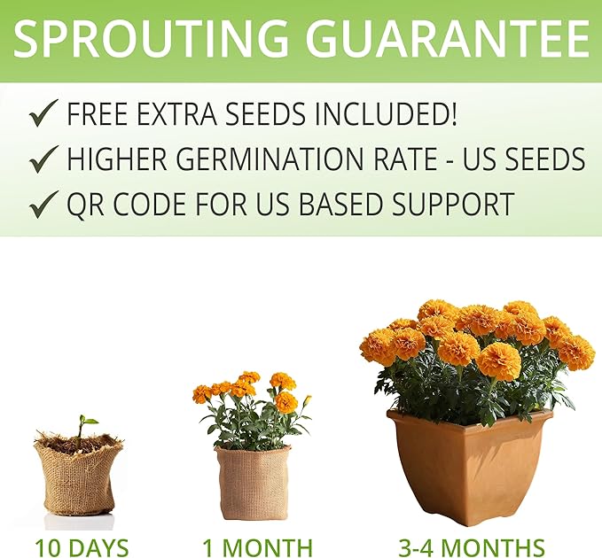 Marigold Seeds Flower Growing Kit – Complete Indoor & Outdoor Kit with Marigold Seeds, Planter, Soil, Tools, Instructions – Ideal for Planting Marigold Flowers at Home or Garden