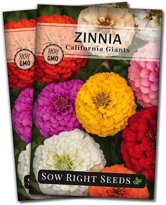 Sow Right Seeds - California Giants Mix Zinnia Seeds for Planting - Non-GMO Heirloom Packet to Grow Your Flower Garden - Attract Bees and Butterflies - Great to Cut and Come Again - Summer Annual (2)