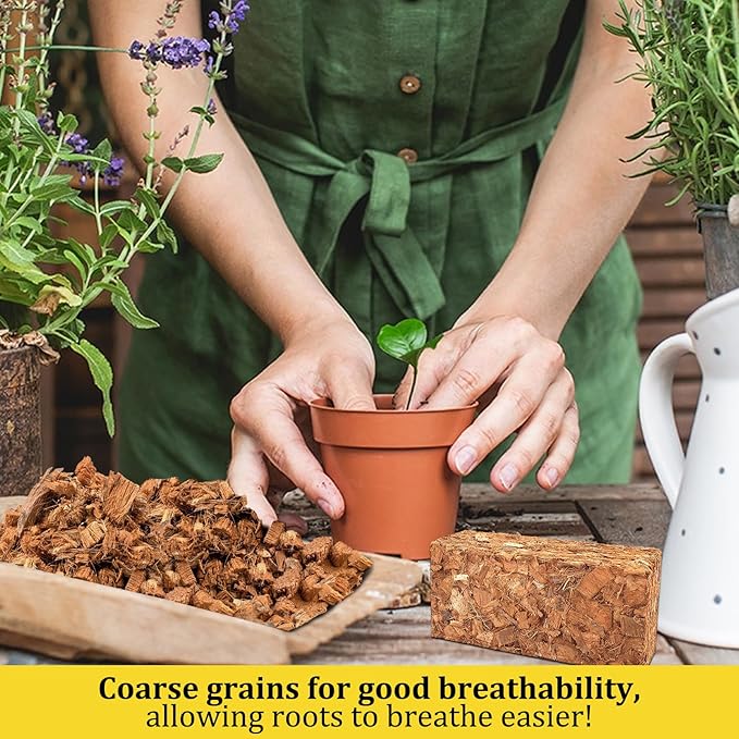 Riare 6 Pack Coco Chips Substrate for Plants- 6.6lb 100% Organic Coconut Husk Brick with Low EC and pH Balanced, High Expansion Coconut Substrate Coco Husk Mulch for Garden Flowers, Herbs, Planting