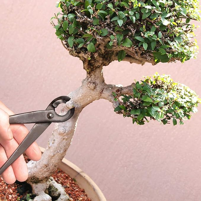 BambooMN Bonsai 8" Concave Cutter Tool - 10 Pieces