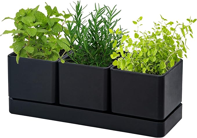 D'vine Dev Herb Garden Planter Set, Plastic Plant Pots with Drainage and Saucer, Indoor Succulent Cactus Vegetable Pot for Windowsill, Garden Balcony, Black, Set of 2, 76-V-B-2