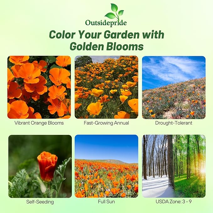 Outsidepride Eschscholzia Orange California Poppy Seeds - 5000 Pcs Annual, Native, Drought Tolerant Wildflower Seeds w/Vibrant Blooms for Full Sun & Drought-Tolerant Pollinator-Friendly Gardens