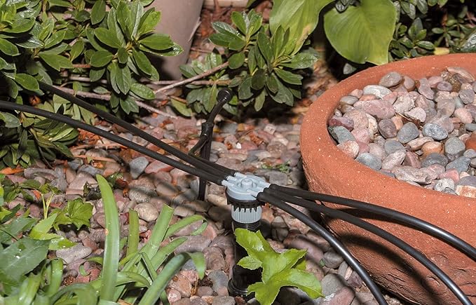 Rain Bird MANIFRE6S Drip Irrigation 6-Port Manifold, Unregulated Free Flow