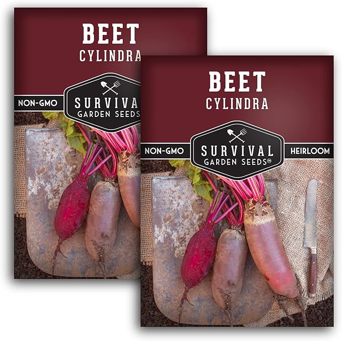 Survival Garden Seeds - Cylindra Beet Seed for Planting - 2 Packs with Instructions to Plant and Grow Dark Red Beets in Your Home Vegetable Garden - Non-GMO Heirloom Variety - Seed Planting Vegetable