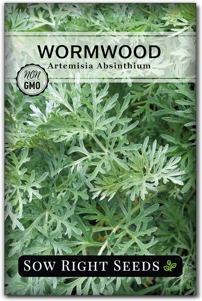 Sow Right Seeds - Wormwood Seeds for Planting - Non-GMO Heirloom Packet with Instructions to Plant & Grow an Outdoor or Indoor Herb Garden - Sagewort Repels Mosquitoes - Medicinal Worm Wood Herb (1)