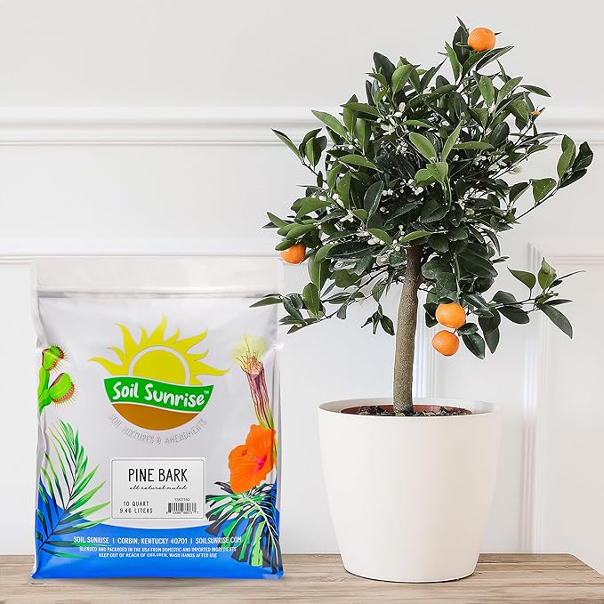 100% Natural Pine Bark Mulch Nuggets (30 Quarts), Small Mulch Chips for Indoor/Outdoor Container Gardening, Ideal for Soil Supplement, Houseplant Mulch, and Terrariums