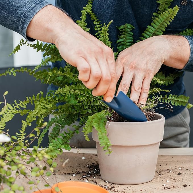 Potting Soil Mix for Fern 2qt, Custom Hand Blended Mixture Suitable for Indoor/Outdoor Potted Fern Plant