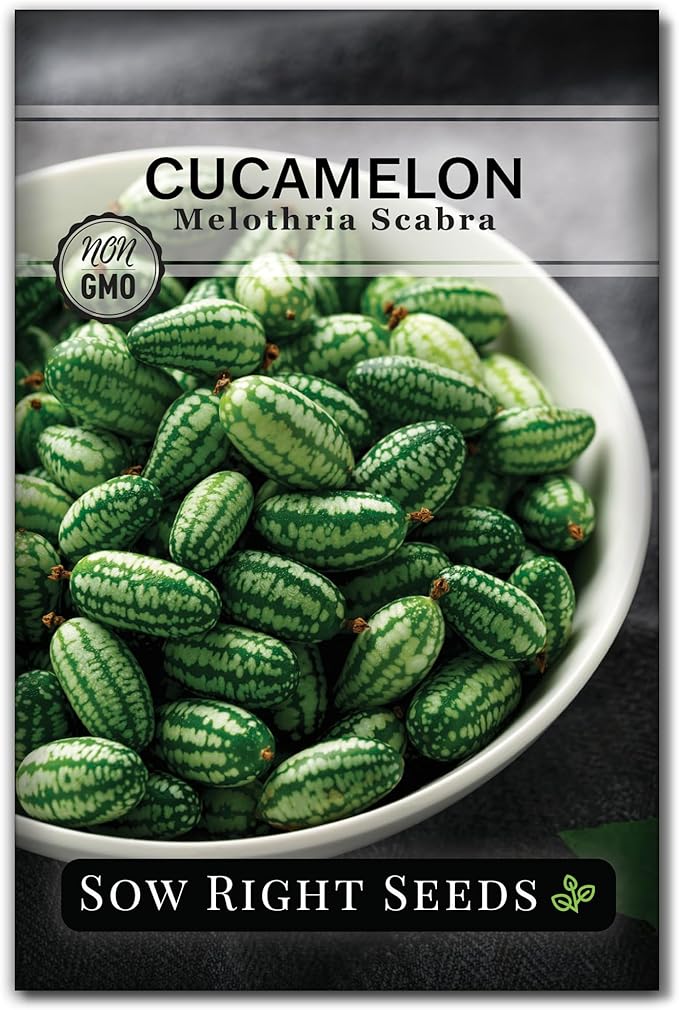 Sow Right Seeds - Cucamelon Seeds for Planting - Non-GMO Heirloom Packet with Instructions to Plant an Outdoor Home Vegetable Garden - Mini Bitter Mouse Melon, Mexican Sour Gherkin - Rare Variety (1)
