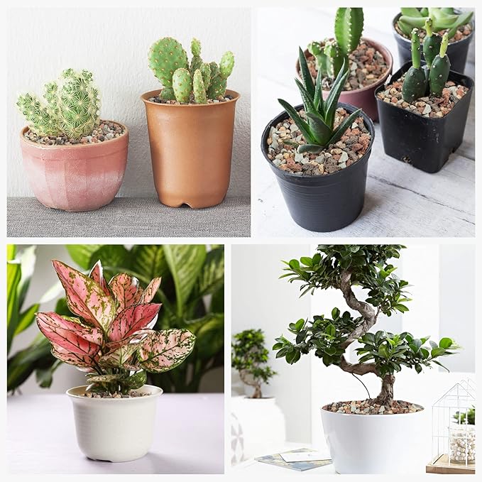 GASPRO 2.5lbs Lava Rocks for Plants, 1/5 Inch Pea Gravel for Succulent, Pots Indoor, Terrarium, Cactus, Bamboo, Bonsai Tree, Top-Dressing, Mixed Color Volcanic Rocks, Good Drainage