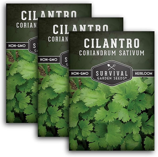 Survival Garden Seeds - Cilantro Seed for Planting - Packet with Instructions to Plant & Grow Coriandrum Sativum in Your Home Vegetable Garden - Non-GMO Heirloom Variety Herb Seed - 3 Packs