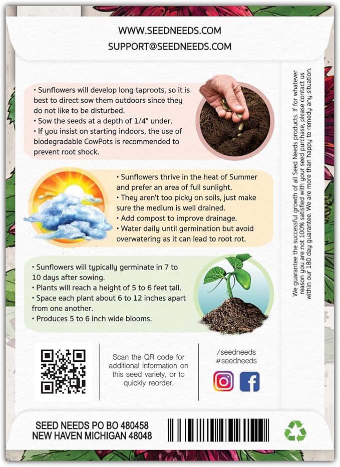 Seed Needs, Red Sun Sunflower Seeds - 120 Heirloom Seeds for Planting Helianthus annuus - Great Cut Flowers, Attracts Butterflies/Pollinators (5 Packs)