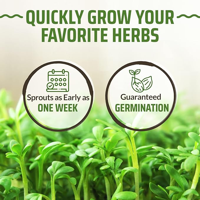 17 Herb Culinary Seed Vault - 5200+ Herbs Seeds for Planting Indoor or Outdoor Garden - Heirloom, Non GMO | Hydroponic Herb Garden Seeds with High Germination | Cilantro, Mint, Chives, Basil, Parsley