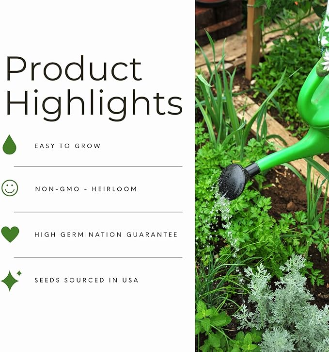 Straight Eight Cucumber Seed for Planting - Over 90 Heirloom Seed Pack - Non-GMO Pickling Cucumber Seeds for Planting Indoors or Outdoors