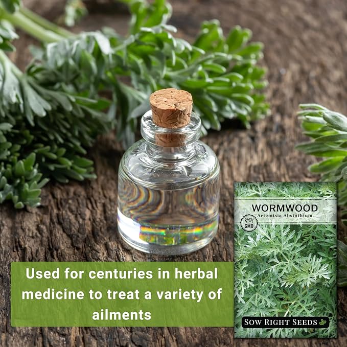 Sow Right Seeds - Wormwood Seeds for Planting - Non-GMO Heirloom Packet with Instructions to Plant & Grow an Outdoor or Indoor Herb Garden - Sagewort Repels Mosquitoes - Medicinal Worm Wood Herb (1)