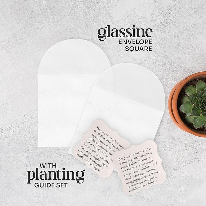 Set of 24 Purple Butterfly – Plantable Seed Paper for Weddings, Gifts, and Life Events