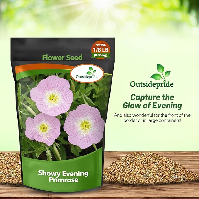 Outsidepride 1/8 lb. Perennial Oenothera Speciosa Showy Evening Primrose Wild Flower Seeds for Planting